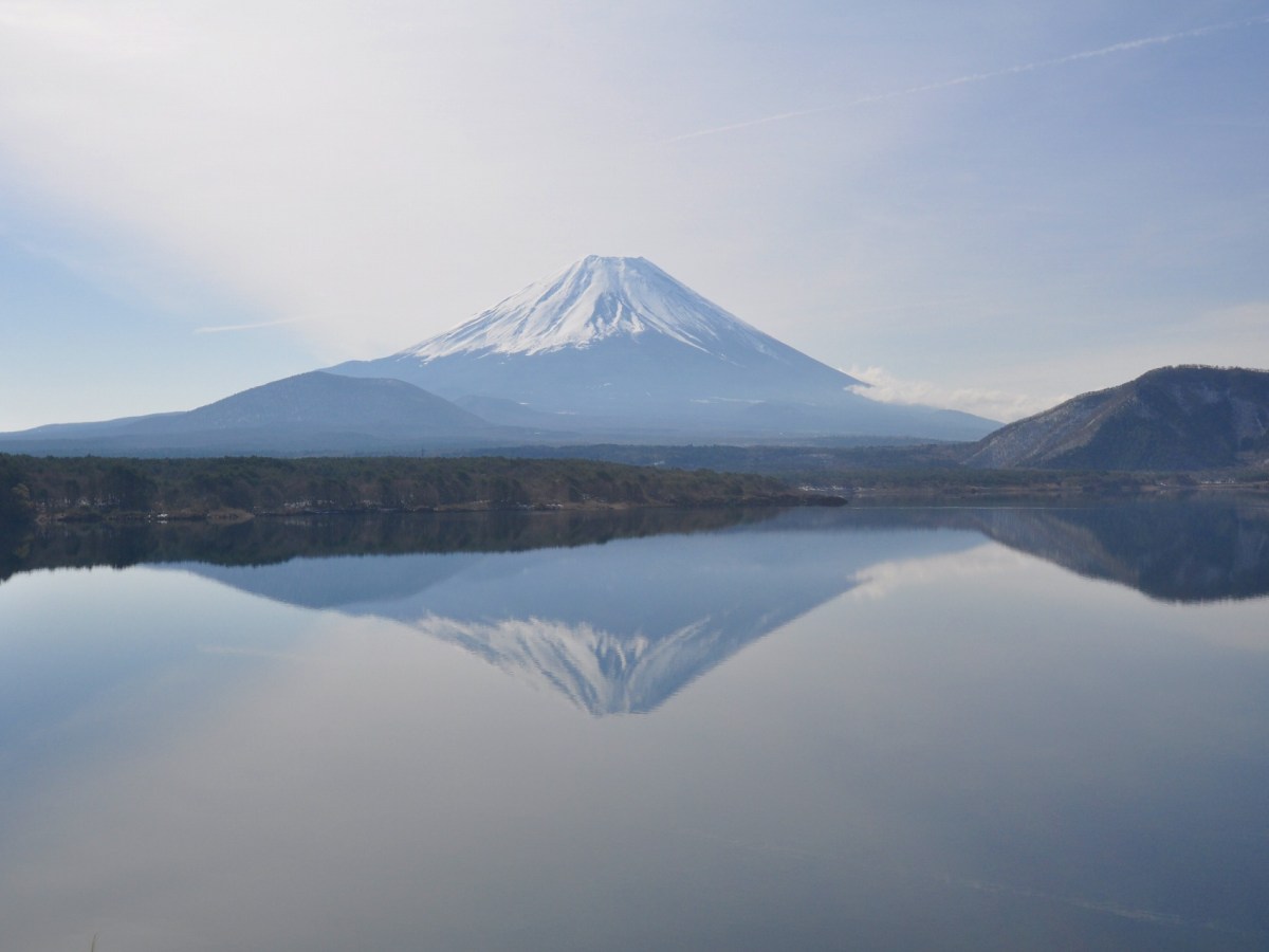 The Weekly Observer: November&nbsp;10-14