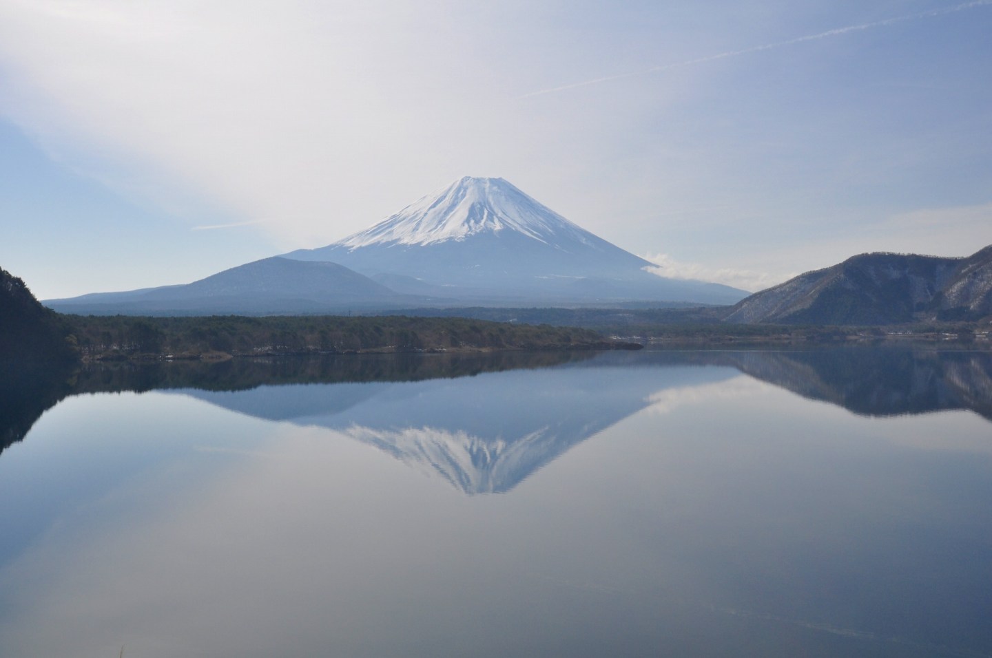 The Weekly Observer: May 25-29 – Rintaro Nishimura